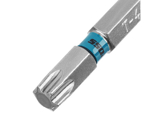 Бита Torx 40 х 50, сталь S2, 10 шт. Gross