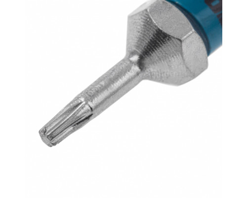 Бита Torx 6 х 50, сталь S2, 10 шт. Gross