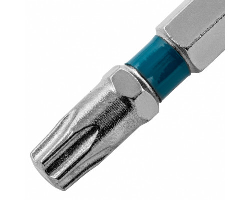 Бита Torx 30 х 50, сталь S2, 10 шт. Gross