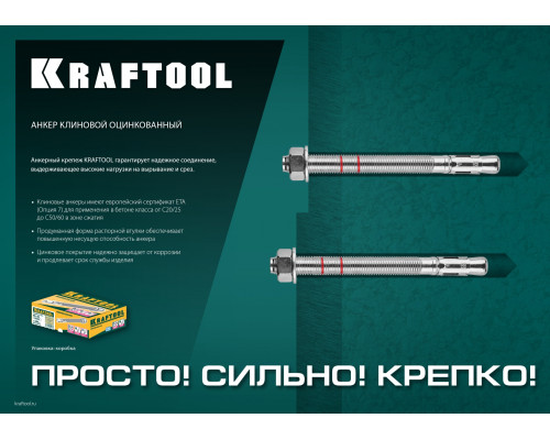 KRAFTOOL ETA Опция 7, М12 x 100, клиновой анкер, 25 шт (302184-12-100)