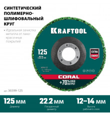 KRAFTOOL 125 х 22.2 мм, Круг полимерно-шлифовальный синтетический абразивный (36599-125)